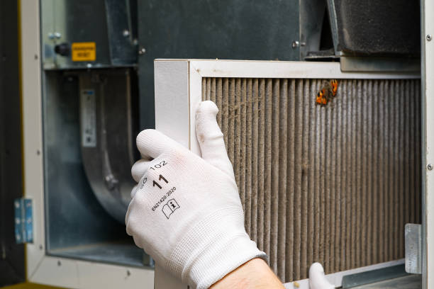 Best Affordable Duct Cleaning Services  in Sage, CA